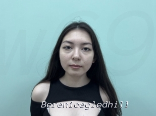 Berenicegledhill