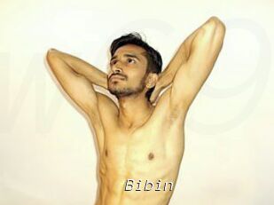 Bibin