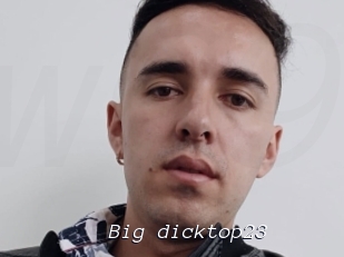 Big_dicktop23