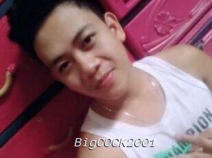 BigCOCK2001