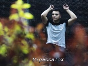 Bigassalex