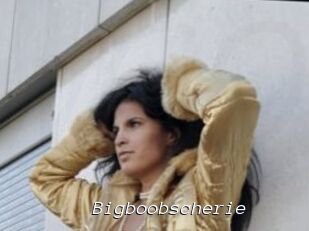 Bigboobscherie