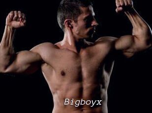 Bigboyx