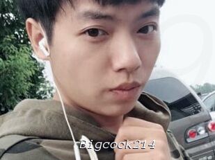 Bigcock214