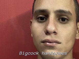 Bigcock_handsomes