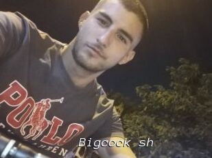 Bigcock_sh
