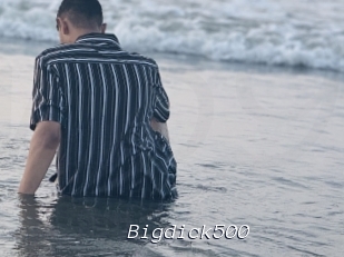 Bigdick500