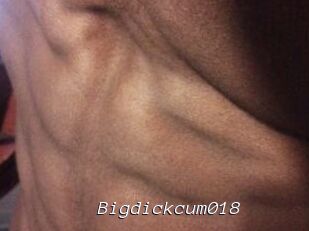 Bigdickcum018