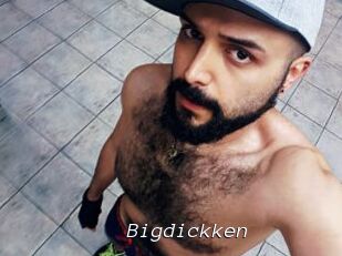 Bigdickken