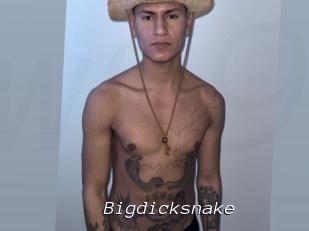 Bigdicksnake