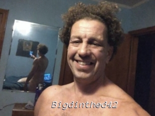 Bigdinthed42