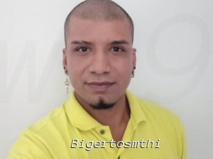 Bigertosmthi