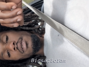 Bigsapiofam