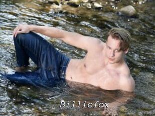 Billiefox