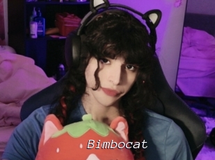 Bimbocat