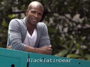 Blacklatinbear