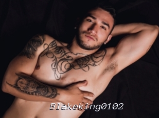 Blakeking0102