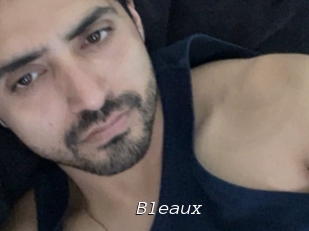 Bleaux
