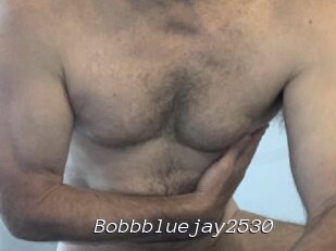 Bobbbluejay2530