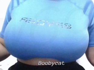 Boobycat