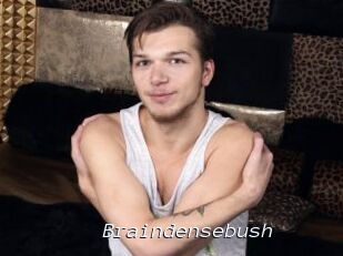 Braindensebush