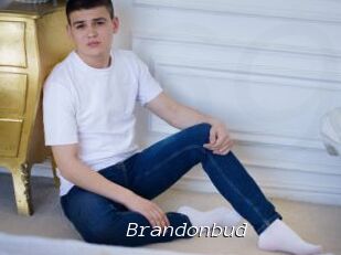 Brandonbud