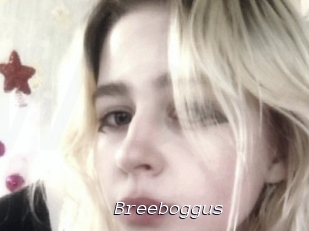 Breeboggus