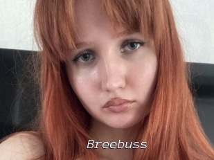 Breebuss