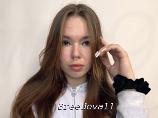 Breedevall
