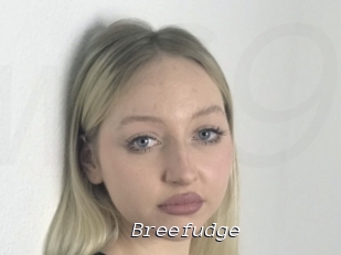 Breefudge