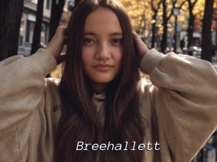 Breehallett