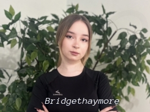 Bridgethaymore