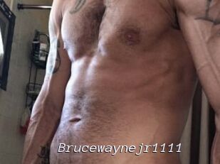 Brucewaynejr1111