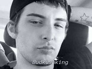 Budkushking