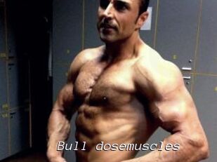 Bull_dosemuscles