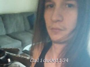 Calidude1134