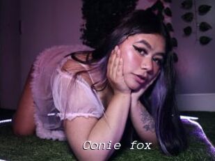 Conie_fox