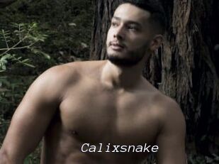 Calixsnake