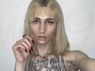 Camillanite