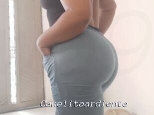 Canelitaardiente
