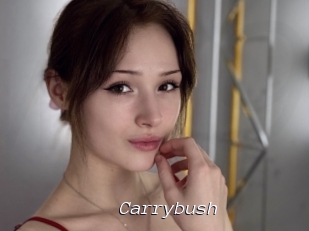 Carrybush
