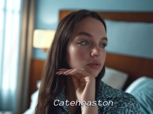 Cateheaston