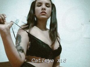 Catleya_x18