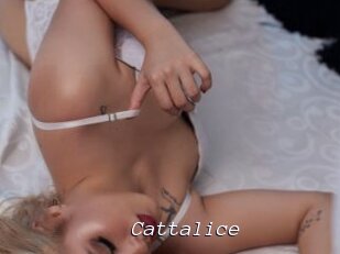 Cattalice