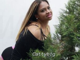 Cattybig