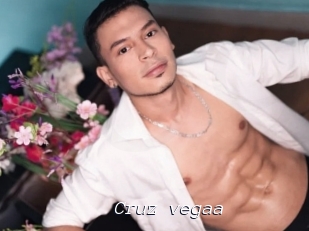Cruz_vegaa