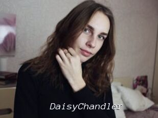 Daisy_Chandler