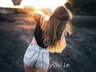 DaisyColle
