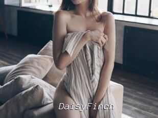 DaisyFinch