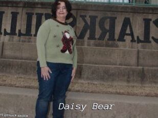 Daisy_Bear